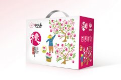 塑料提手禮盒包裝的生產(chǎn)安裝問題